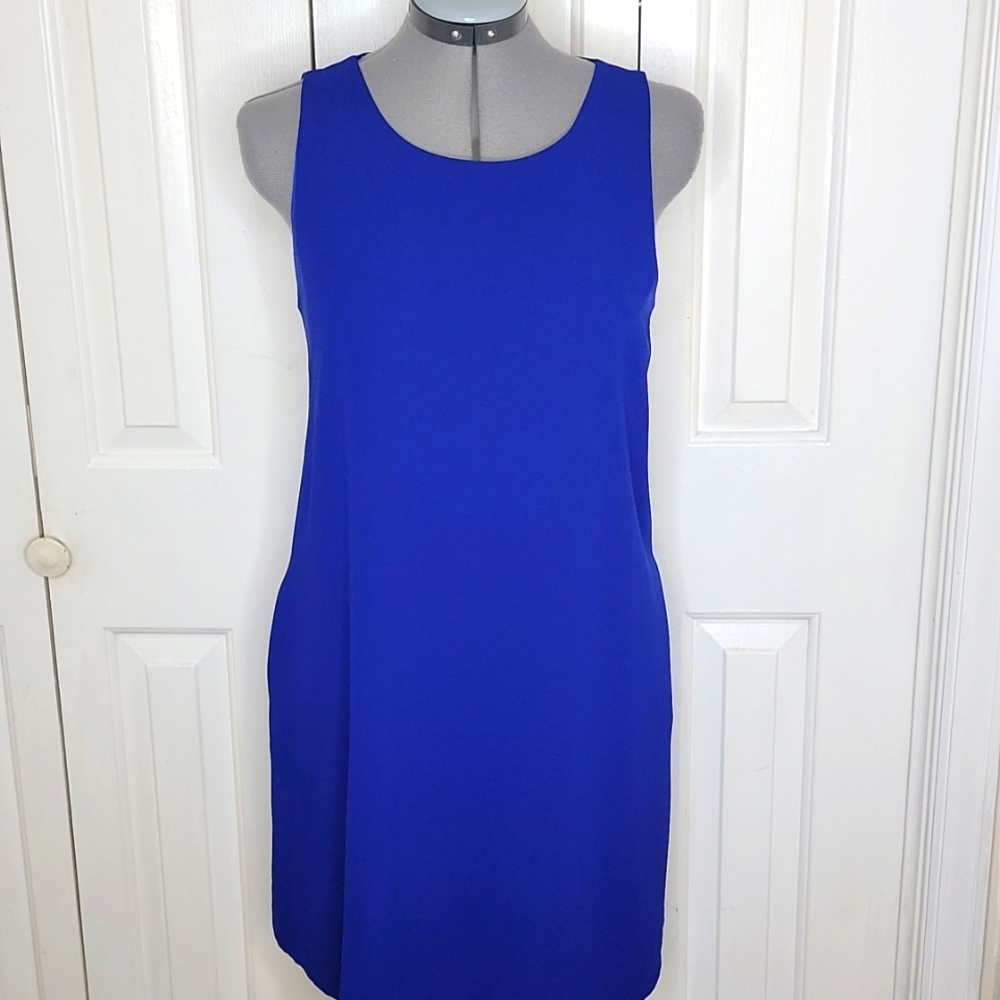 Everly Sleeveless Blue Shift Dress Size M